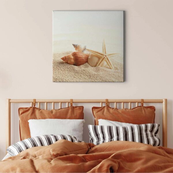 Bricoflor Seestern Bild Am Strand Muschelbild Auf Leinwand In Crème Weiß Schlafzimmer Und Badezimmer Wandbild Mit Muscheln Im Maritimen Stil
