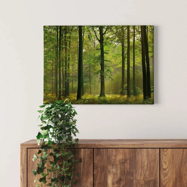 Bricoflor Wald Bild Auf Leinwand In Grün Wohnzimmer Und Schlafzimmer Bild Mit Wald Und Sonnenstrahlen Herbstwald Leinwandbild Auf Keilrahmen