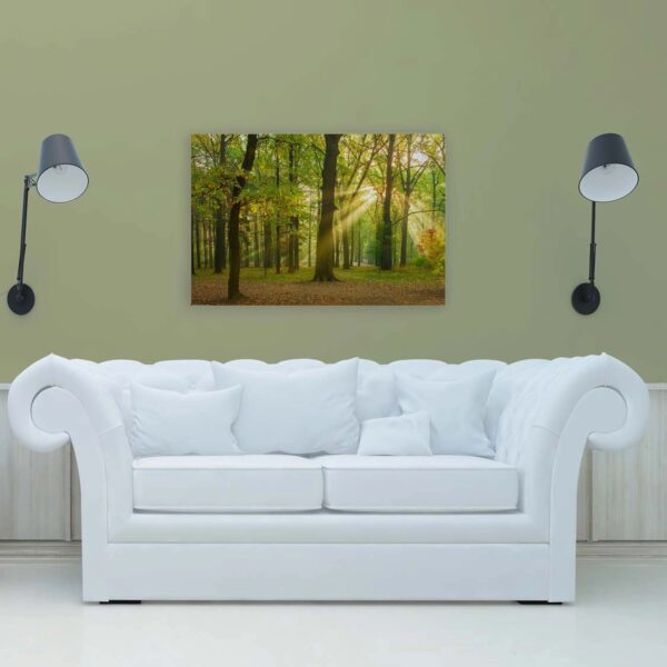 Bricoflor Wald Sonne Leinwandbild In 120 X 80 Cm Herbstwald Leinwand In Grün Für Schlafzimmer Und Flur Romantisches Wandbild