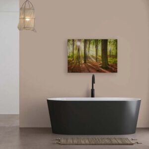 Bricoflor Wald Sonne Leinwandbild In 90 X 60 Cm Deko Waldbild Für Wohnzimmer Und Schlafzimmer Wandbild Mit Natur Motiv