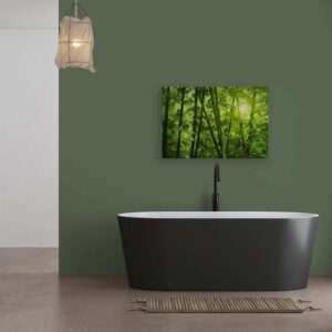 Bricoflor Wandbild Bambuswald In Grün Wald Sonne Leinwandbild Asiatisch Für Badezimmer Und Schlafzimmer Bambus Bild 90 X 60 Cm