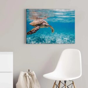 Bricoflor Wandbild Mit Schildkröte Unterwasser Bild Auf Leinwand Mit Meeresschildkröte Tier Leinwandbild In Türkis Ideal Für Badezimmer
