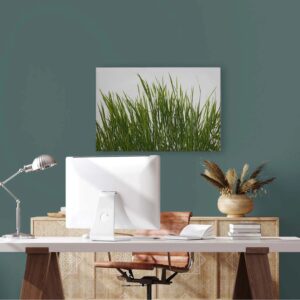 Bricoflor Wandbild Mit Wiese Grün Weiß Leinwandbild Mit Gras Motiv In 90 X 60 Cm Deko Bild Mit Pflanzen Für Badezimmer Und Küche