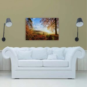 Bricoflor Wandbilder Herbst Für Wohnzimmer Und Schlafzimmer Herbstwald Leinwand Mit Bank In Sonne Deko Leinwandbild 120 X 80 Cm