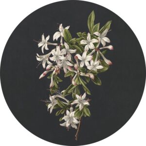 ESTAhome Selbstklebende Runde Tapete Blüte Hellrosa und Schwarz Ø 140 cm 159016