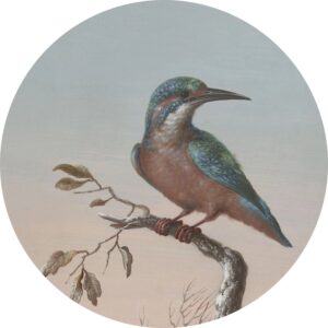ESTAhome Selbstklebende Runde Tapete Eisvogel Auf Zweig Abendrot Ø 70 cm 158993