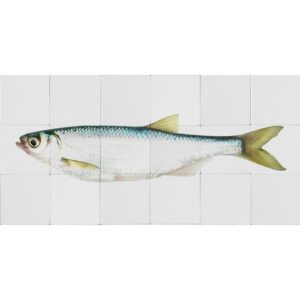 ESTAhome Wandtattoo Fisch Gelb und Blau 97 x 48