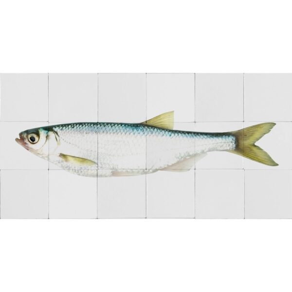 ESTAhome Wandtattoo Fisch Gelb und Blau 97 x 48