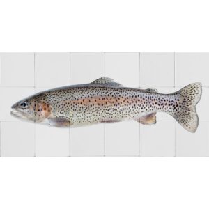ESTAhome Wandtattoo Fisch Grau und Lachsrosa 97 x 48