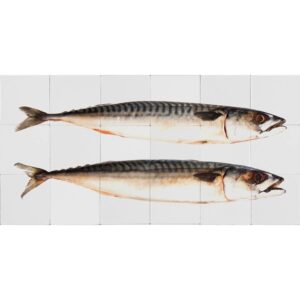 ESTAhome Wandtattoo Fische Grau 97 x 48
