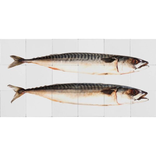 ESTAhome Wandtattoo Fische Grau 97 x 48