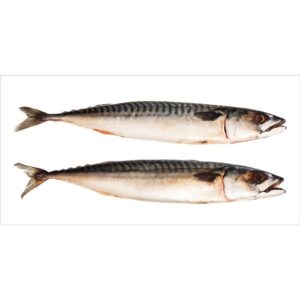 ESTAhome Wandtattoo Fische Grau 97 x 48