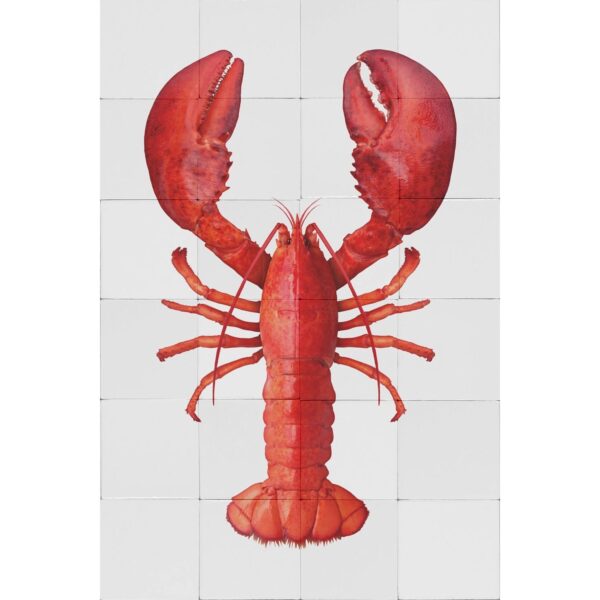 ESTAhome Wandtattoo Hummer Rot 145 x 97 cm 159032