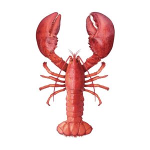 ESTAhome Wandtattoo Hummer Rot 145 x 97 cm 159042