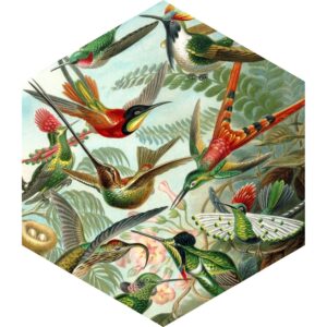 ESTAhome Wandtattoo Vögel Dschungelgrün 70 x 81 cm 158999