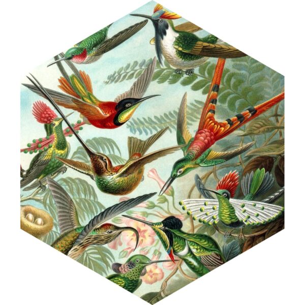 ESTAhome Wandtattoo Vögel Dschungelgrün 70 x 81 cm 158999