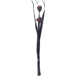 Getrockneter Dekostrauß Dahlie Midnight Mystery 95 cm Lila-Schwarz