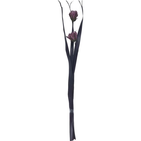 Getrockneter Dekostrauß Dahlie Midnight Mystery 95 cm Lila-Schwarz