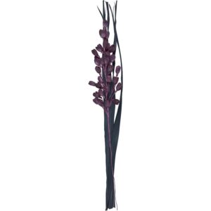 Getrockneter Dekostrauß Lilie Midnight Mystery 95 cm Lila-Schwarz