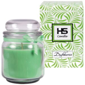 HS Candle Duftkerze & Bonbon Glas Ø9cm Coconut Limes