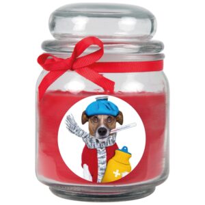 HS Candle Duftkerze & Glas Genesung Rose Rot