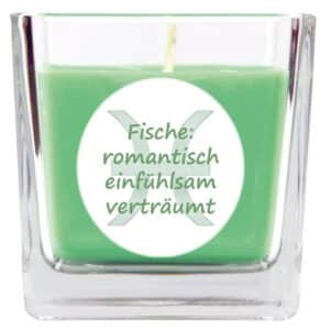 HS Candle Duftkerze & Glas Sternzeichen Coconut Limes 50 Stunden Fische
