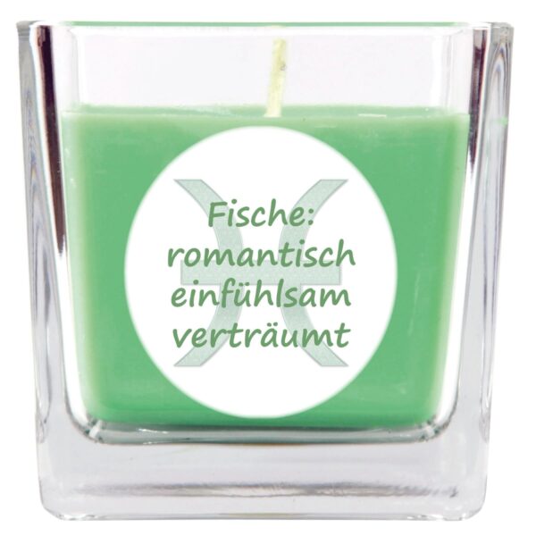HS Candle Duftkerze & Glas Sternzeichen Coconut Limes 50 Stunden Fische