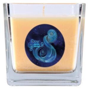 HS Candle Duftkerze & Glas Sternzeichen Vanille 50 Stunden Wassermann