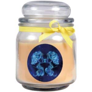 HS Candle Duftkerze & Glas Sternzeichen Vanille 70 Stunden Zwillinge