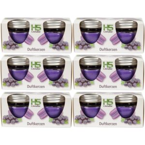 HS Candle Duftkerze Macaron Kerzen 12er Pack Blueberry