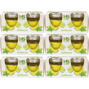 HS Candle Duftkerze Macaron Kerzen 12er Pack Mint & Limes