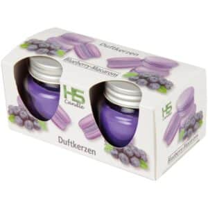 HS Candle Duftkerze Macaron Kerzen 2er Pack Blueberry