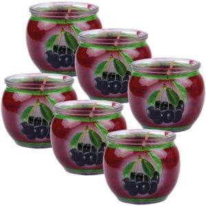 HS Candle Duftkerze Motiv 6er Pack Black Cherry