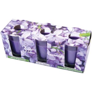 HS Candle Duftkerzen Classic Kerzen 3er Pack Lavendel