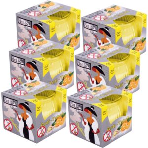 HS Candle Duftkerzen Raumerfrischer 6er Pack AntiTabak Ingwer Orange