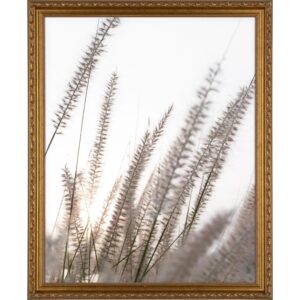 Holzbilderrahmen Gold Verschnörkelt 40 cm x 50 cm