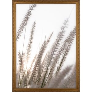 Holzbilderrahmen Gold Verschnörkelt 50 cm x 70 cm