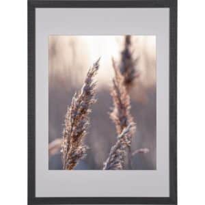 Holzbilderrahmen Schwarz Breit 50 cm x 70 cm
