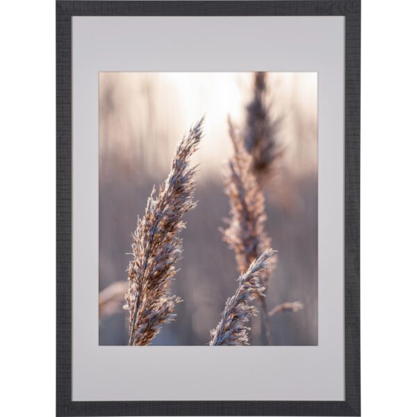 Holzbilderrahmen Schwarz Breit 50 cm x 70 cm