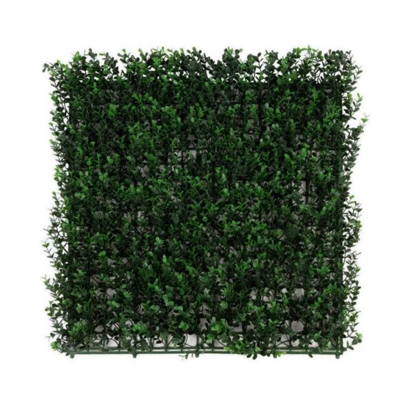 KARAT Pflanzenwand Buxus Kunstpflanze zur Dekoration 50 x 50 cm