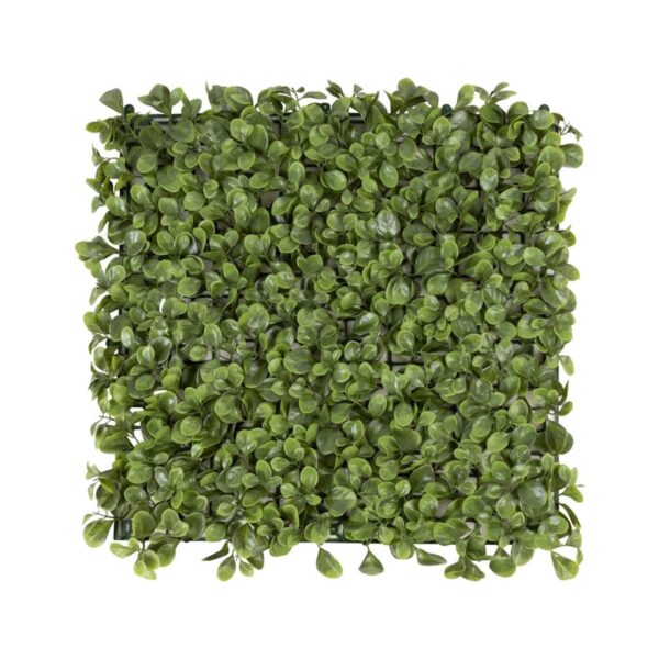 KARAT Pflanzenwand Jade-Leaf Kunstpflanze zur Dekoration 50 x 50 cm