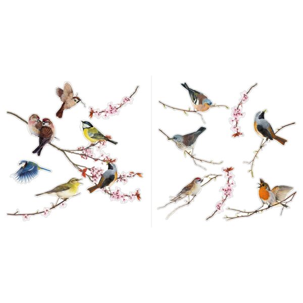 Komar Fenstersticker Birds 30 cm x 30 cm