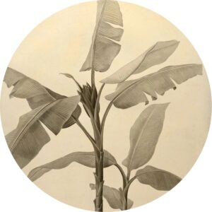 Komar Selbstklebende Runde Tapete Banana Plant Hellbeige Ø 125 cm 611167