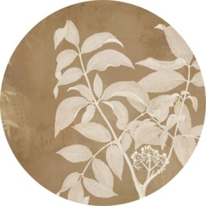 Komar Selbstklebende Runde Tapete Blooming Branch Beige Ø 125 cm 611168