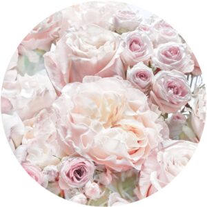 Komar Selbstklebende Runde Tapete Pink And Cream Roses Hellrosa Ø 125 cm 611158