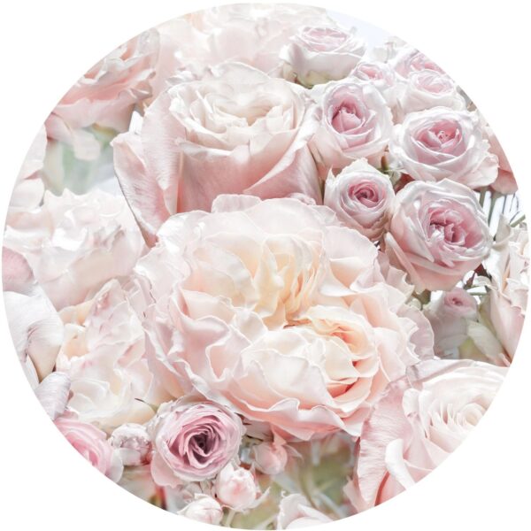 Komar Selbstklebende Runde Tapete Pink And Cream Roses Hellrosa Ø 125 cm 611158