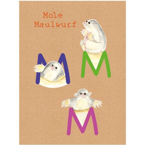 Komar Wandbild ABC Animal M 40 x 50 cm