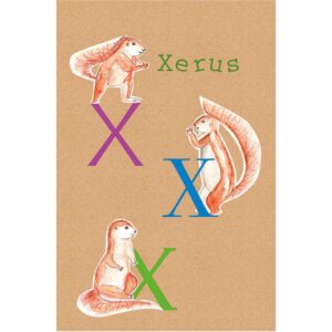 Komar Wandbild ABC Animal X 30 x 40 cm