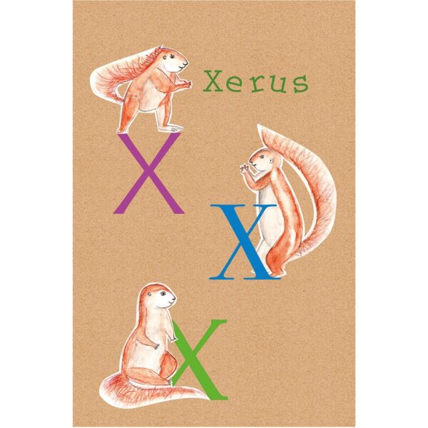 Komar Wandbild ABC Animal X 30 x 40 cm