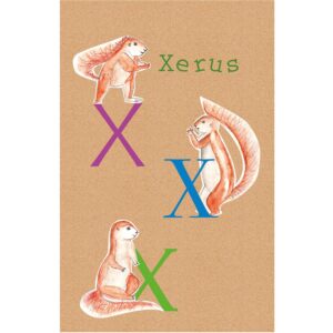 Komar Wandbild ABC Animal X 50 x 70 cm